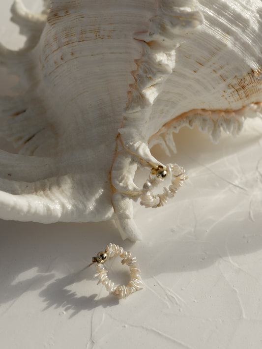 Freshwater pearl hoop studs in front of a giant shell.